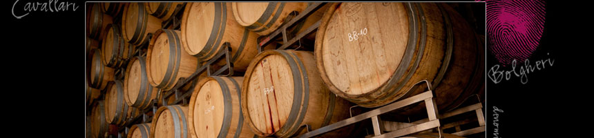 produzione vendita vini doc bolgheri toscana
