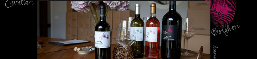 produzione e vendita vini rossi doc bolgheri toscana