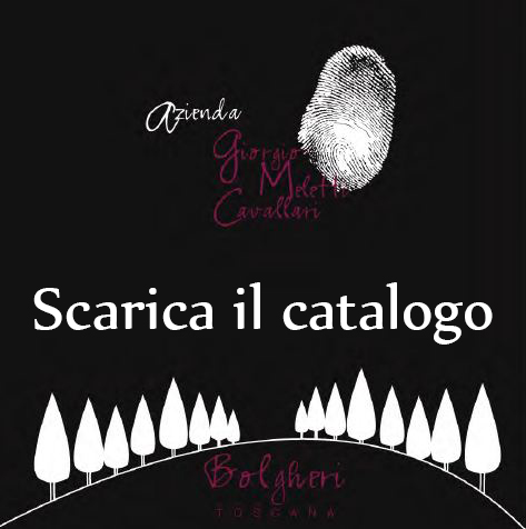 BORGERI BIANCO vino doc bolgheri